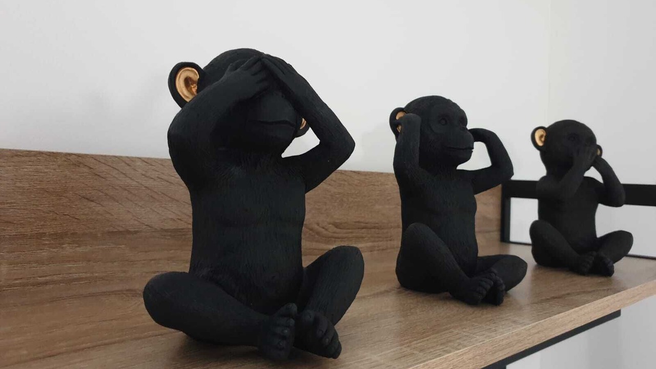 Photo of Others in Pamiers