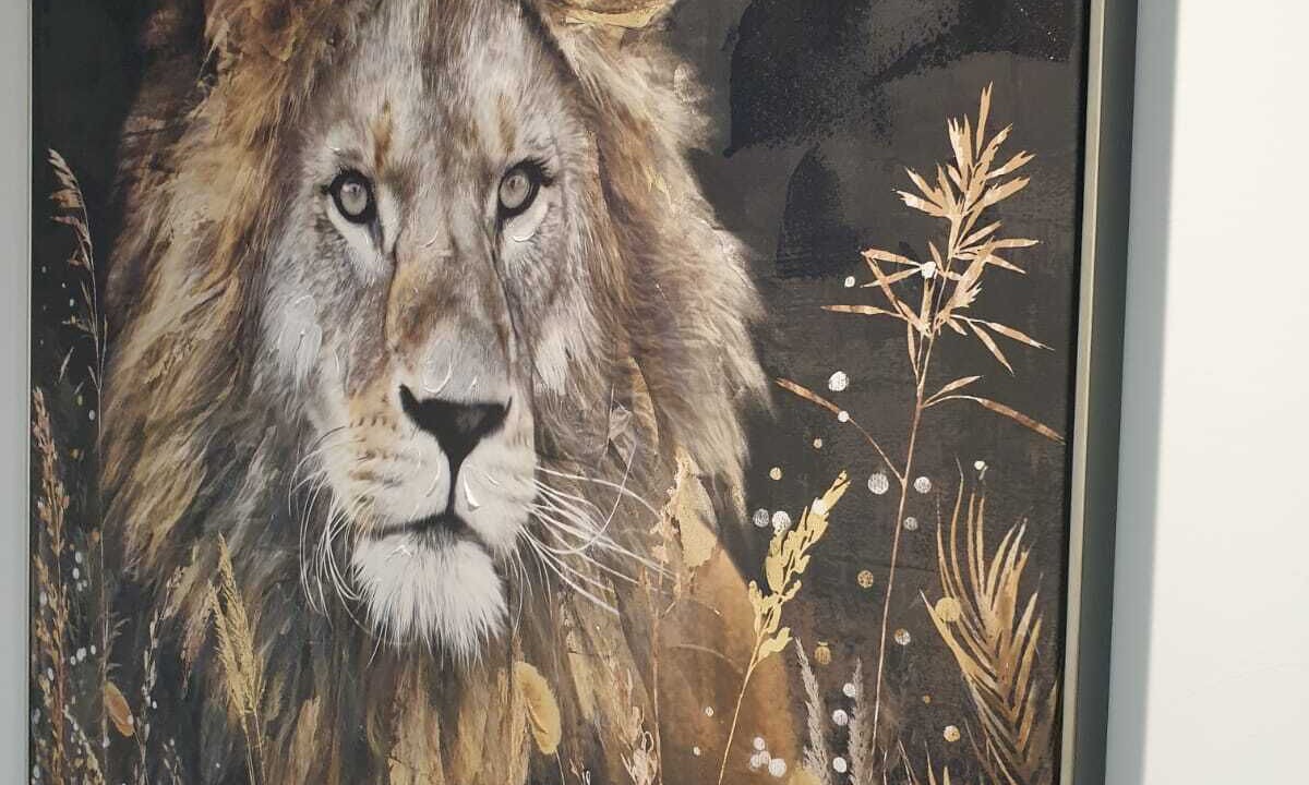 Photo of Others in Pamiers