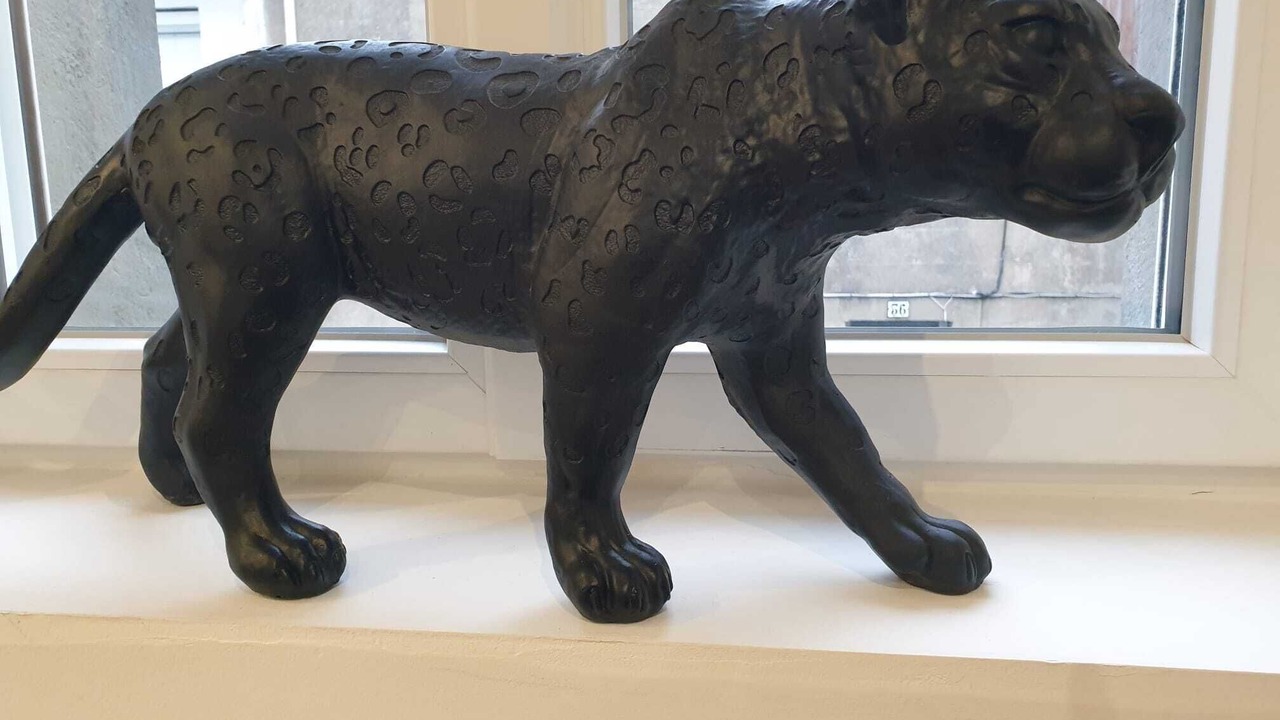 Photo of Others in Pamiers