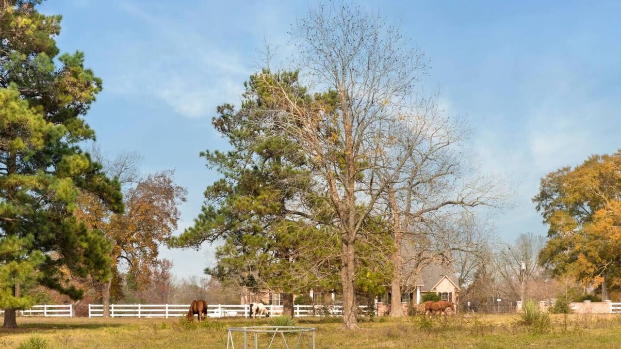 Photo of Outdoor in Conroe