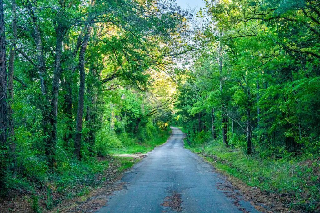 Photo of Outdoor in Oakwood