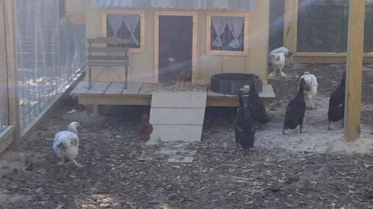 Photo of Outdoor in Oakwood
