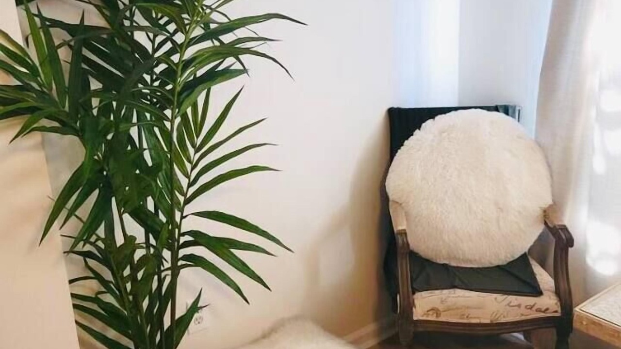 Photo of Others in Downtown Baltimore