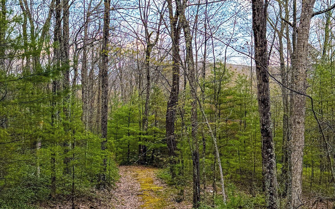 Photo of Others in Mount Tremper