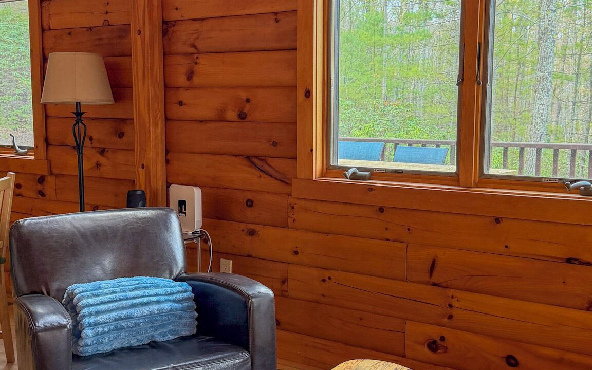 Photo of Livingroom in Mount Tremper