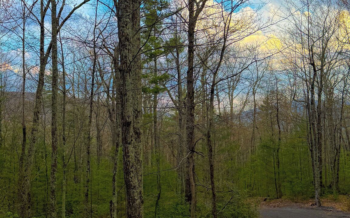 Photo of Others in Mount Tremper