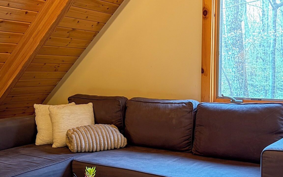 Photo of Livingroom in Mount Tremper