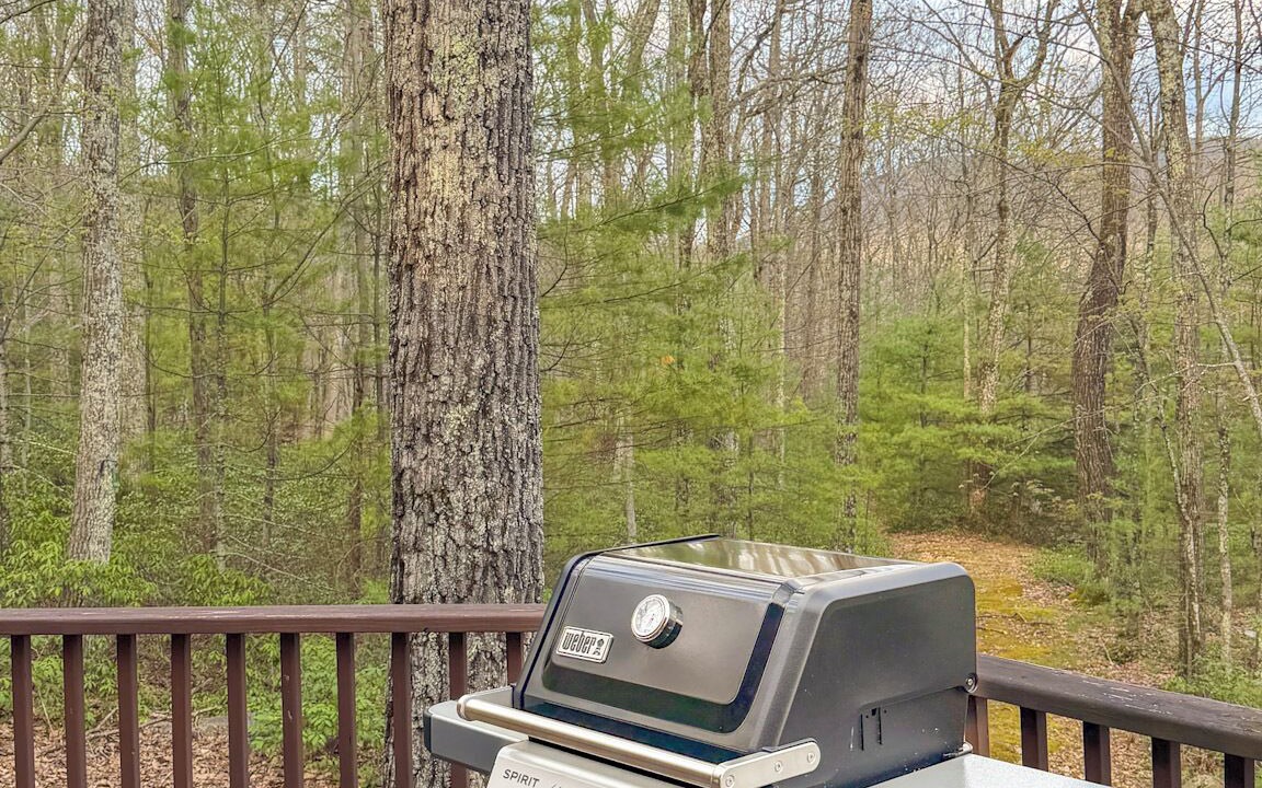 Photo of Outdoor in Mount Tremper