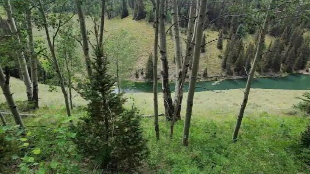 Photo of Outdoor in Cimarron