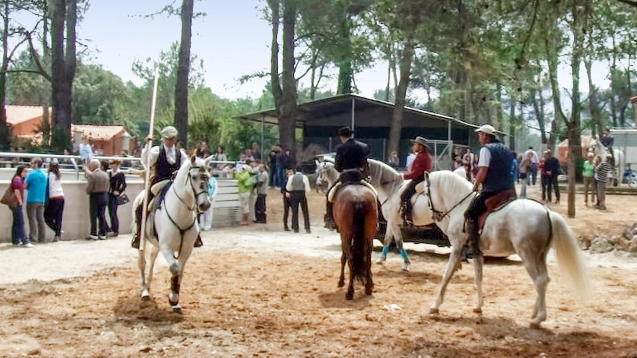 Photo of Others in Villalonga