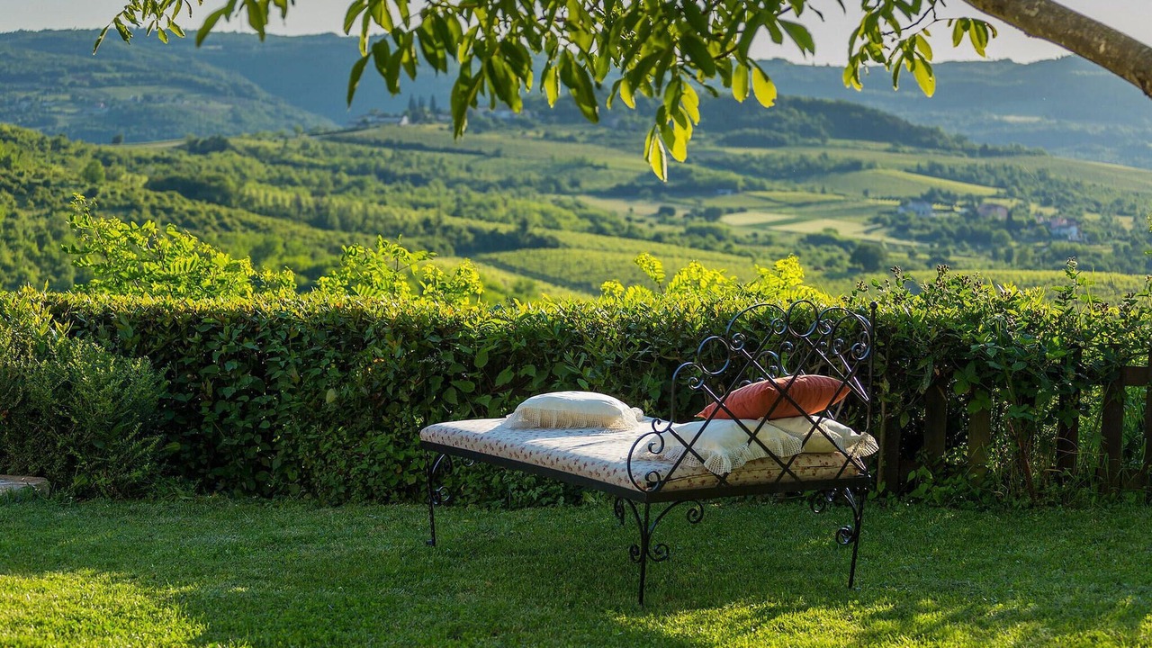 Photo of Others in Motovun