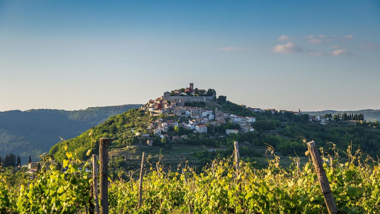 Photo of Others in Motovun