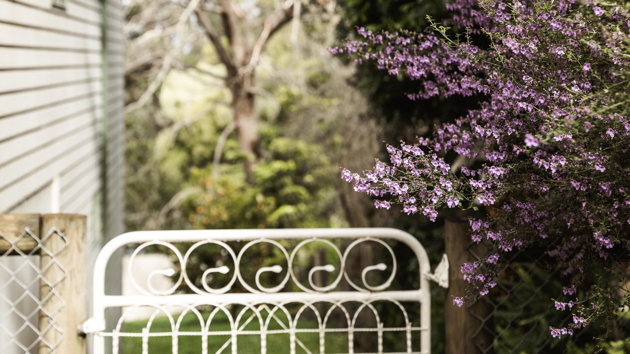 Photo of Outdoor in Warburton