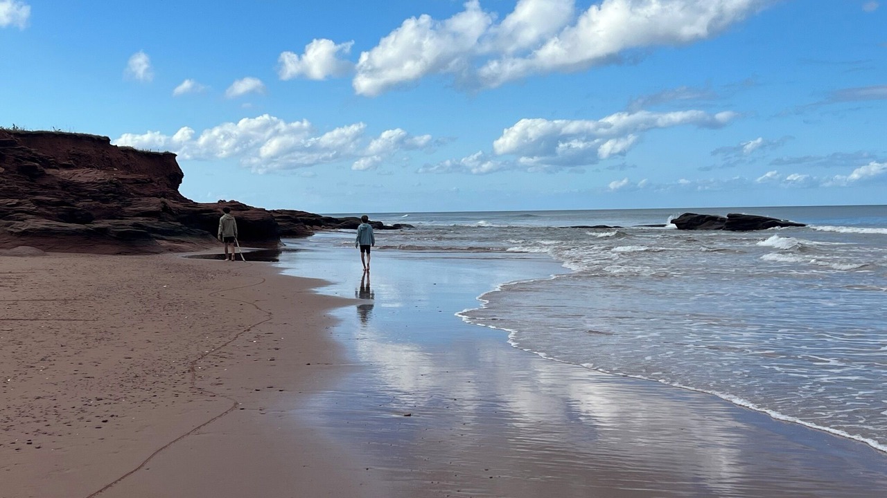 Photo of Others in Sea View