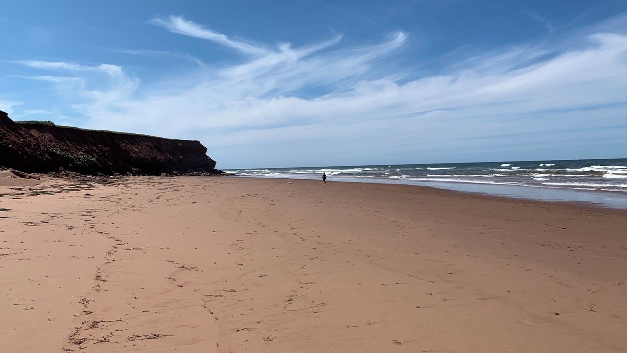 Photo of Others in Sea View