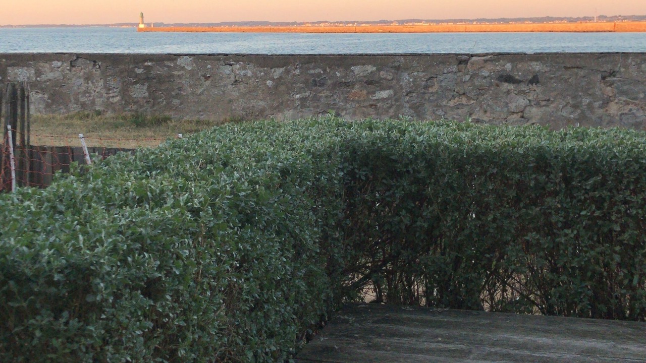 Photo of Outdoor in Le Croisic