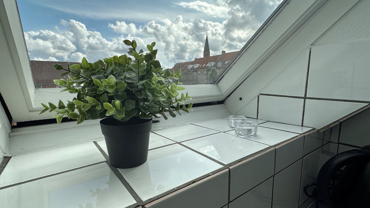 Photo of Others in Aalborg