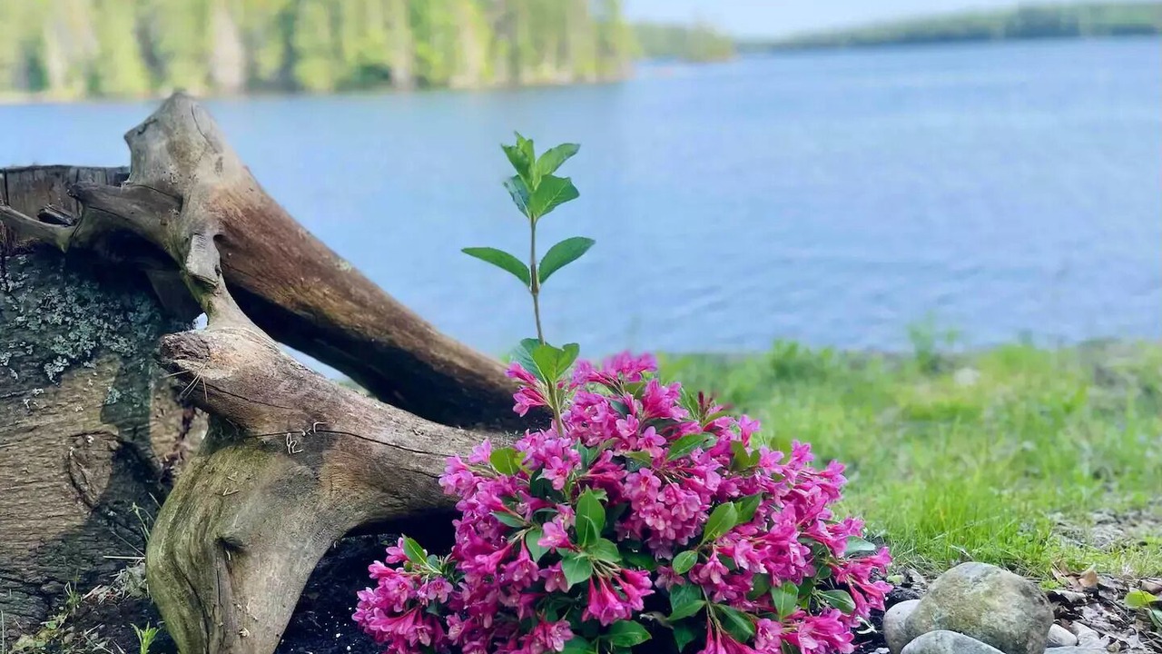 Photo of Others in Greater Madawaska
