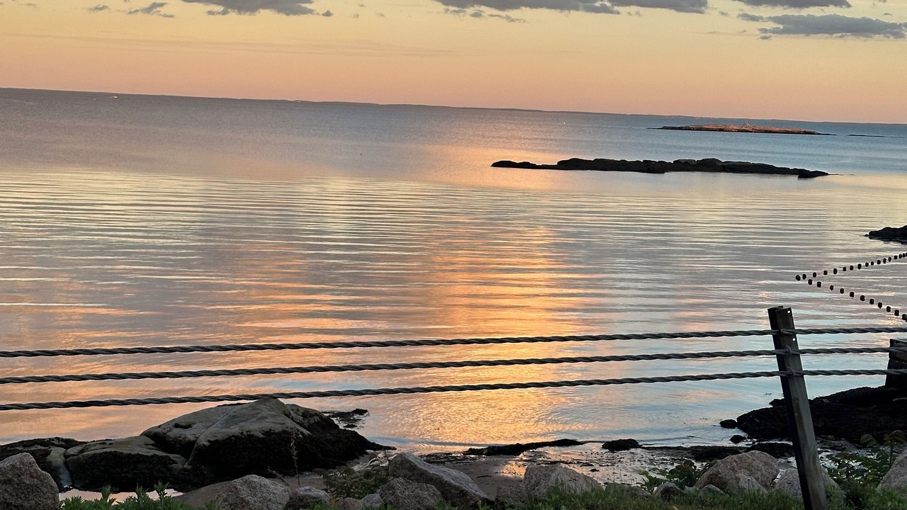 Photo of Others in Branford