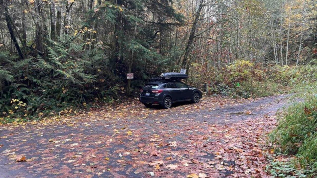 Photo of Others in Bellingham