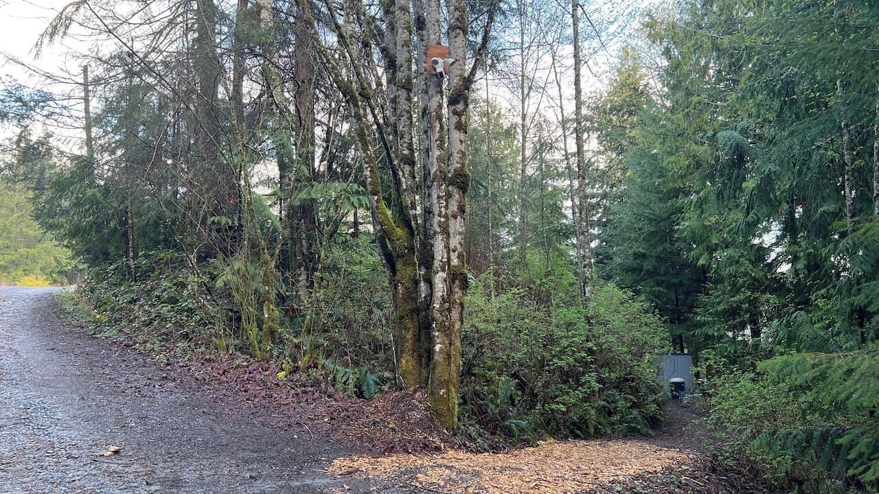 Photo of Others in Bellingham