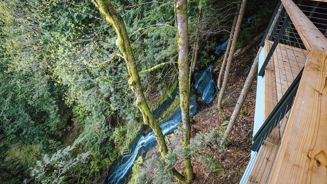 Photo of Others in Bellingham