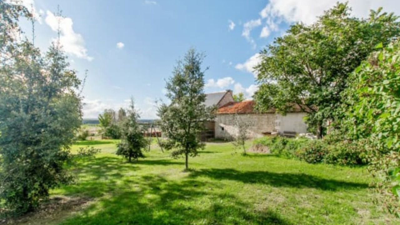 Photo of Outdoor in Assay