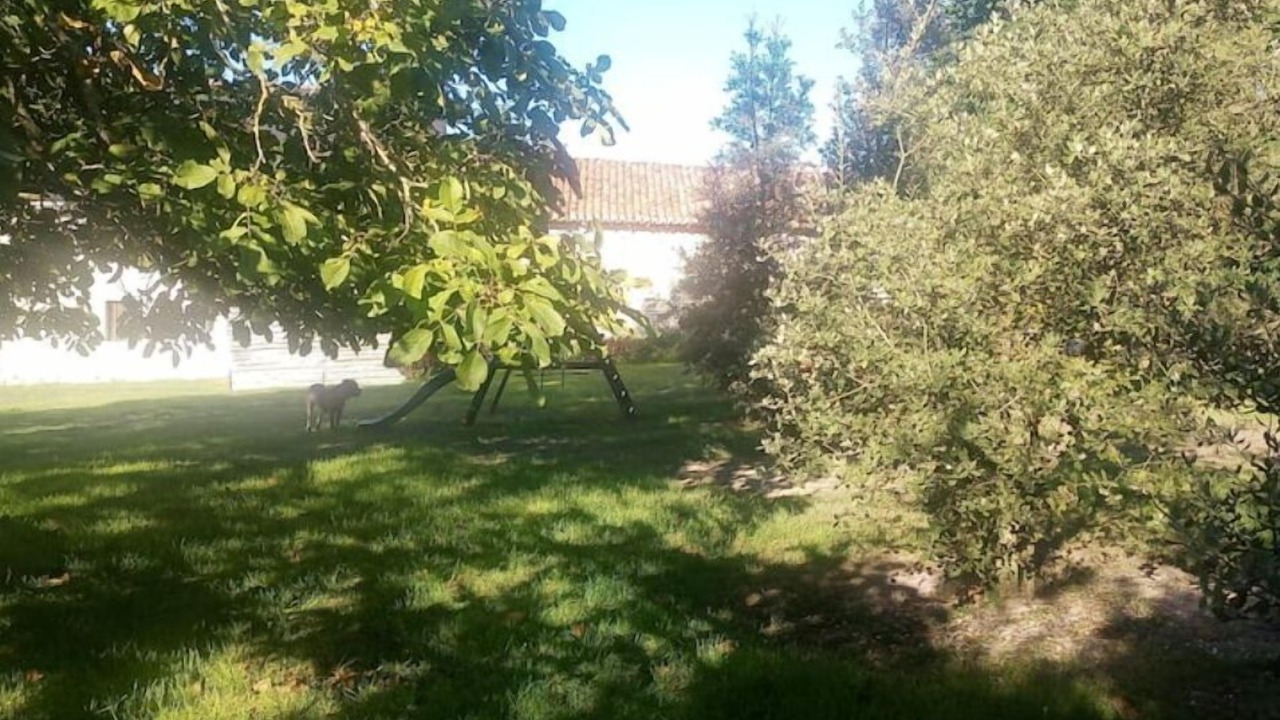 Photo of Outdoor in Assay