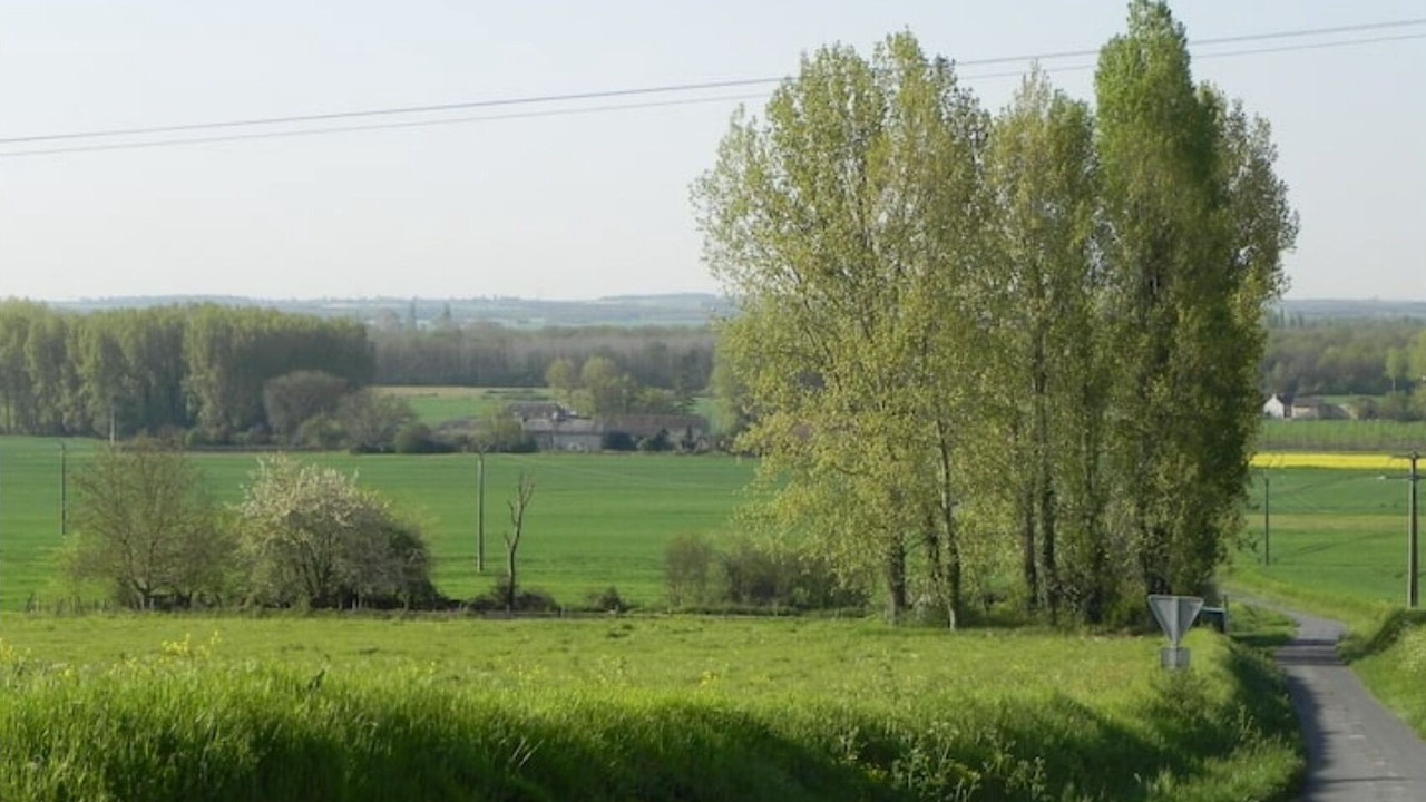 Photo of Outdoor in Assay