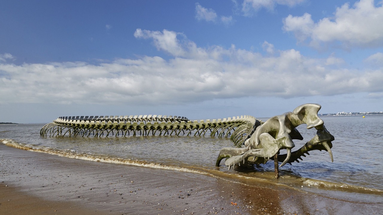 Photo of Others in Saint-Brevin-l'Ocean
