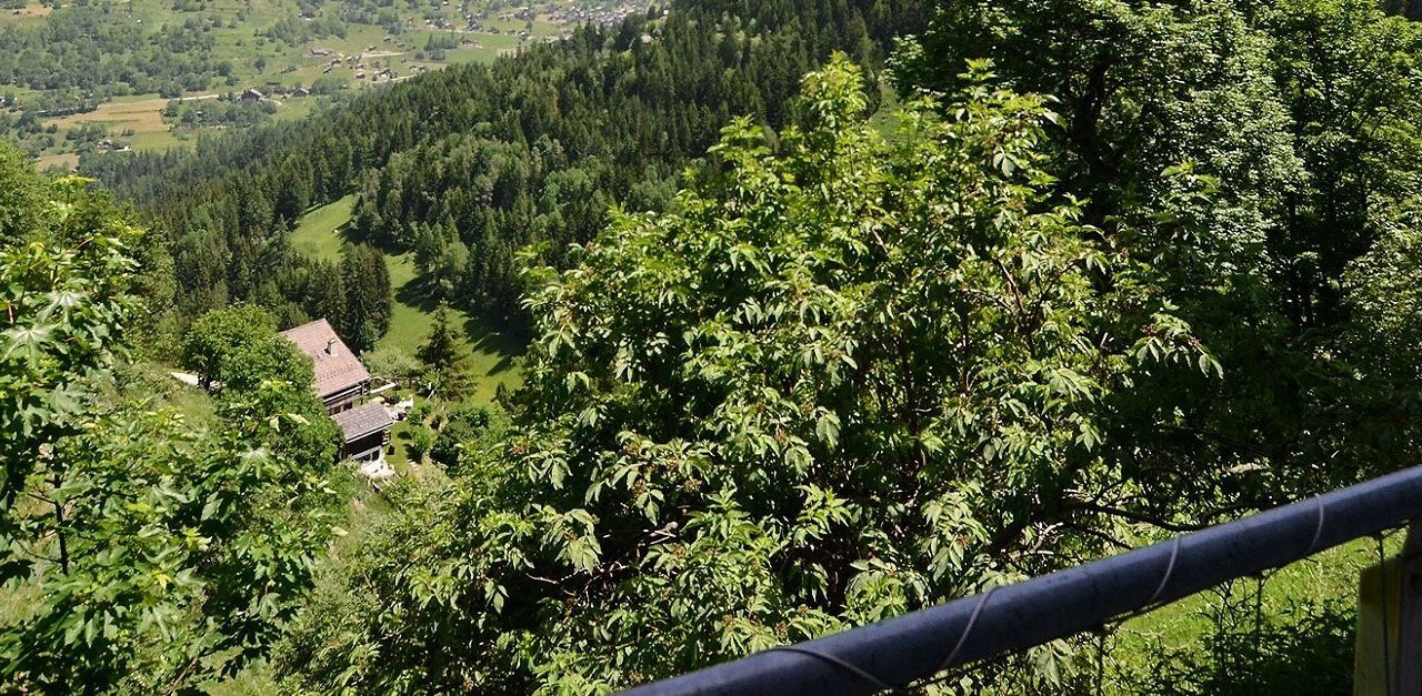 Photo of Others in Grimentz