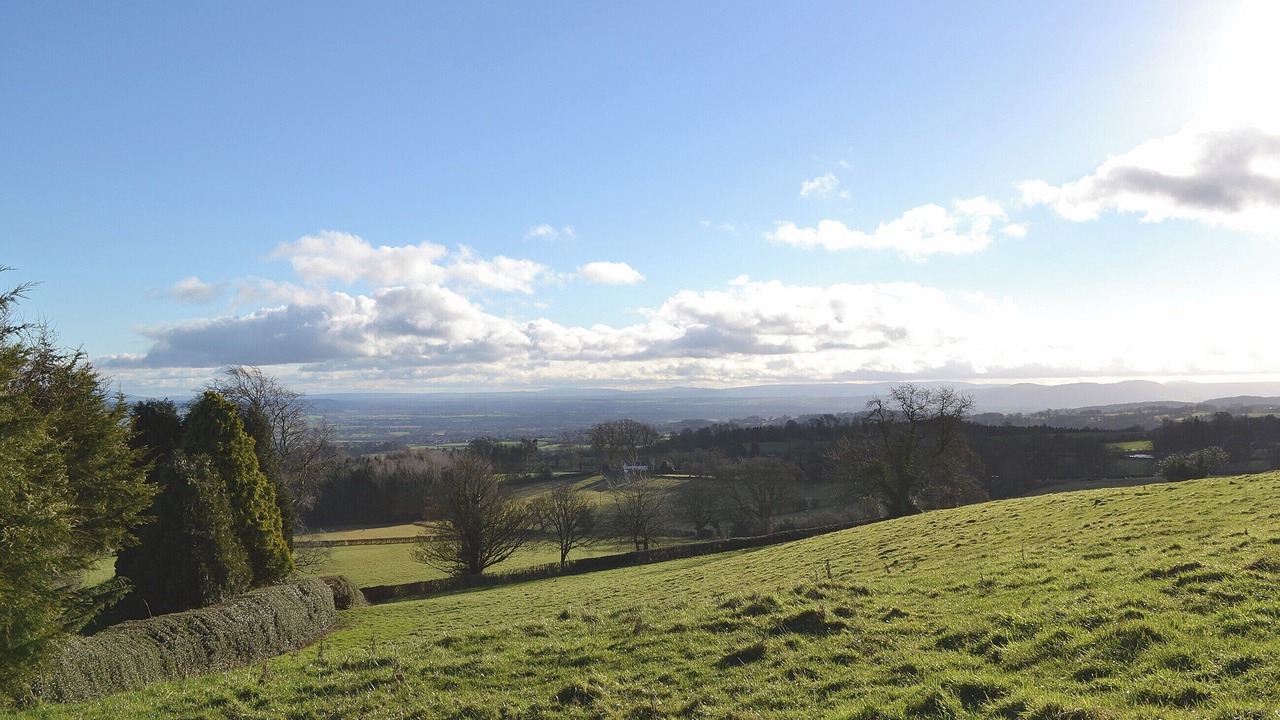 Photo of Others in Longford