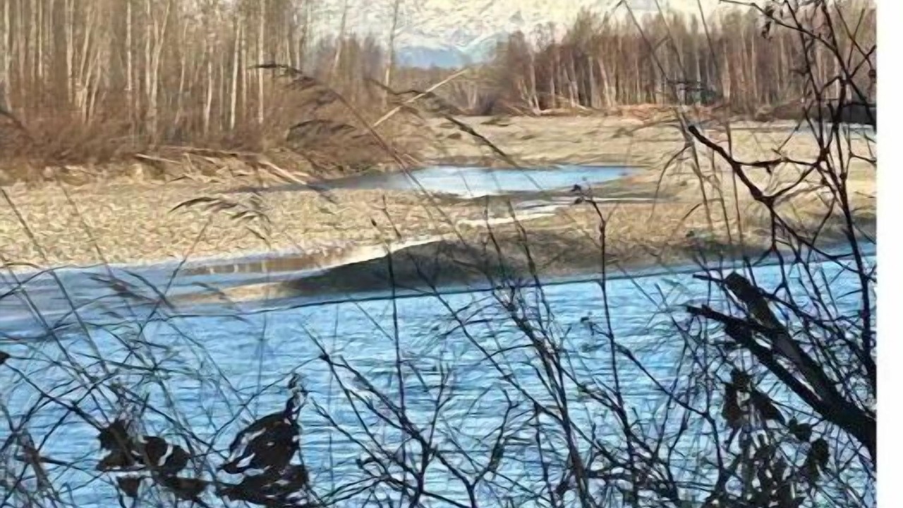 Photo of Others in Talkeetna