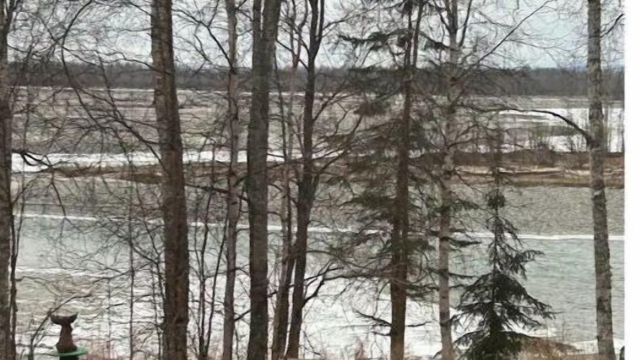 Photo of Outdoor in Talkeetna