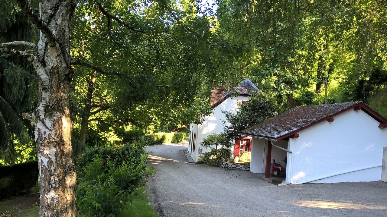 Photo of Outdoor in Saint-Savin