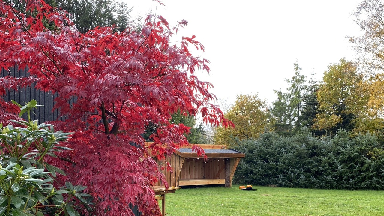 Photo of Outdoor in Farvang