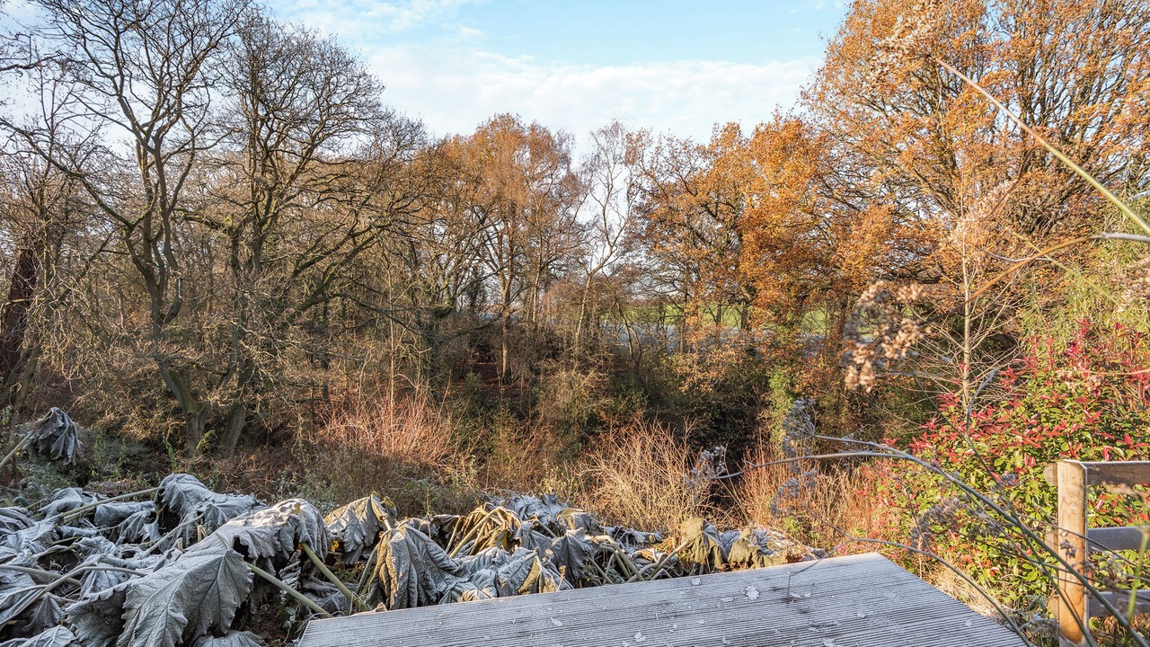 Photo of Others in Coalbrookdale
