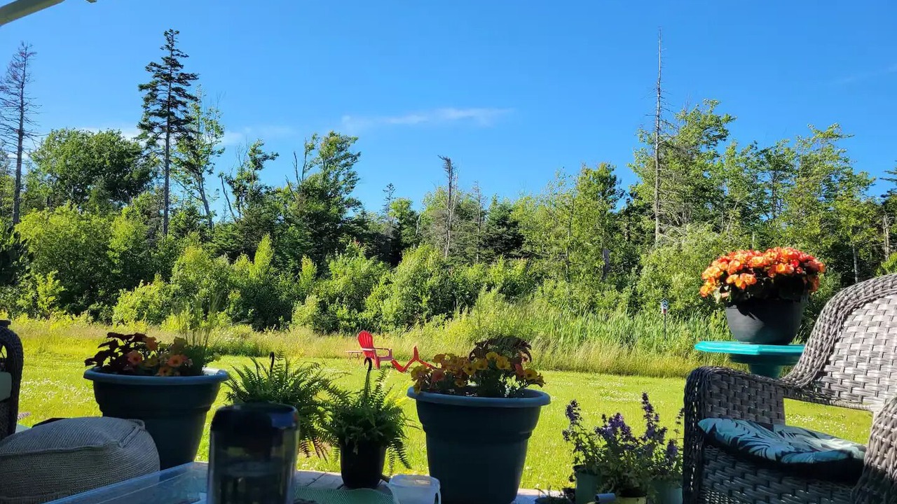 Photo of Outdoor in Summerside