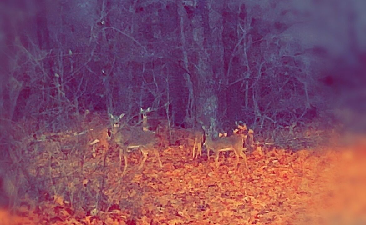 Photo of Others in Hoyt