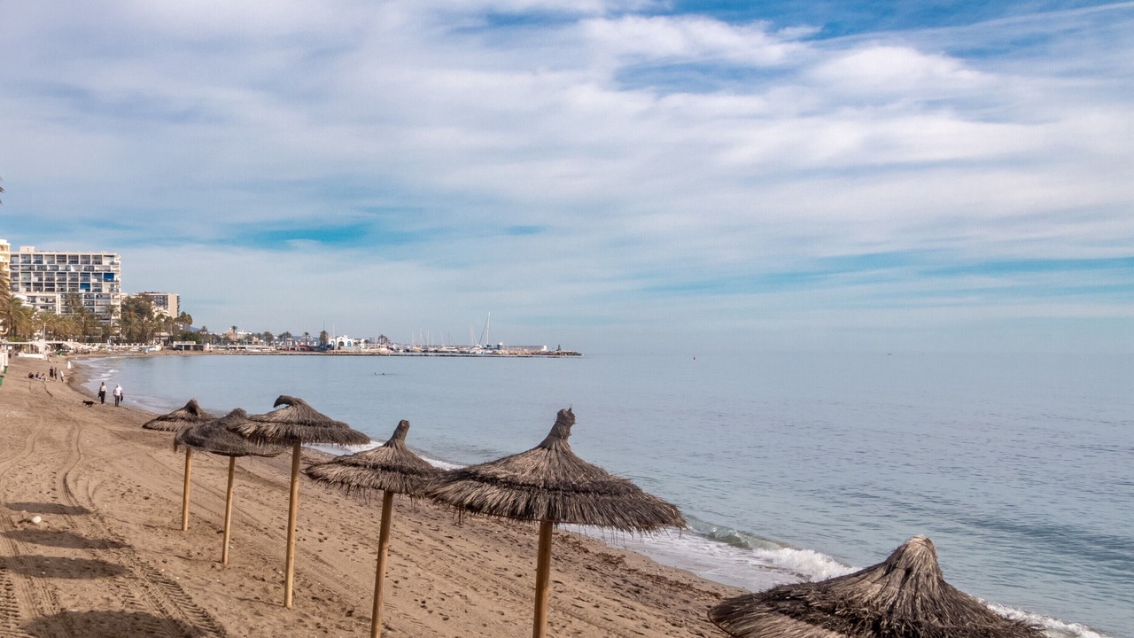 Photo of Others in Marbella Seafront Promenade