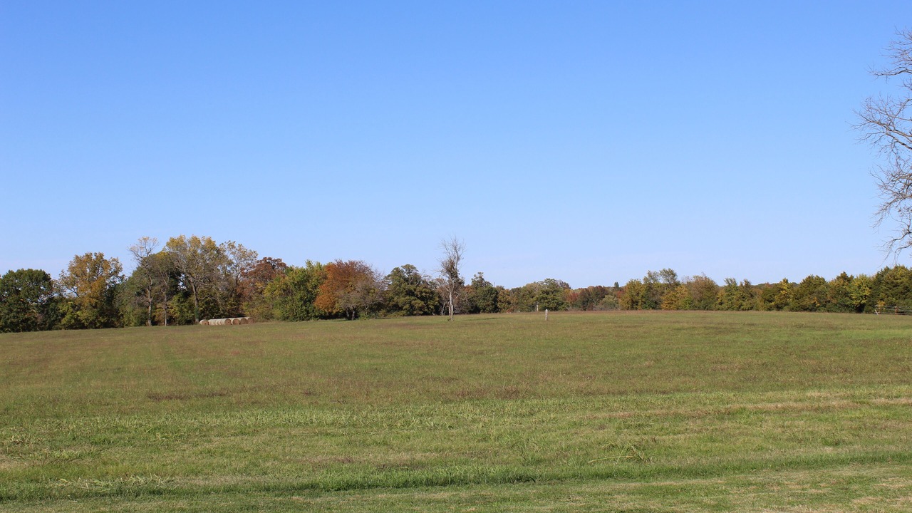 Photo of Outdoor in Turners