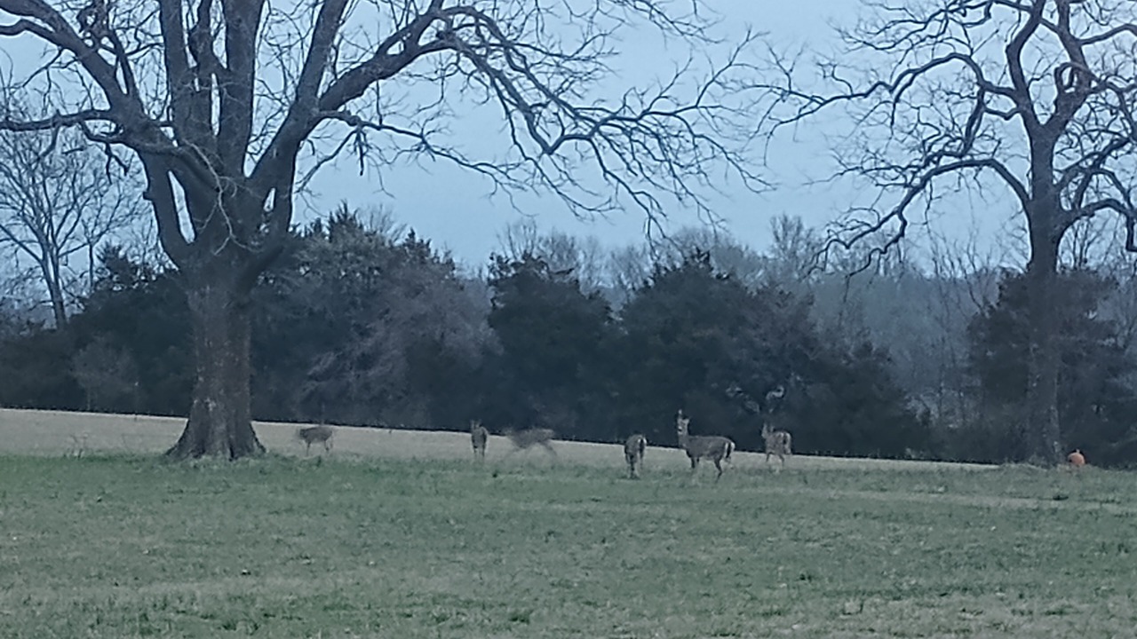 Photo of Others in Turners