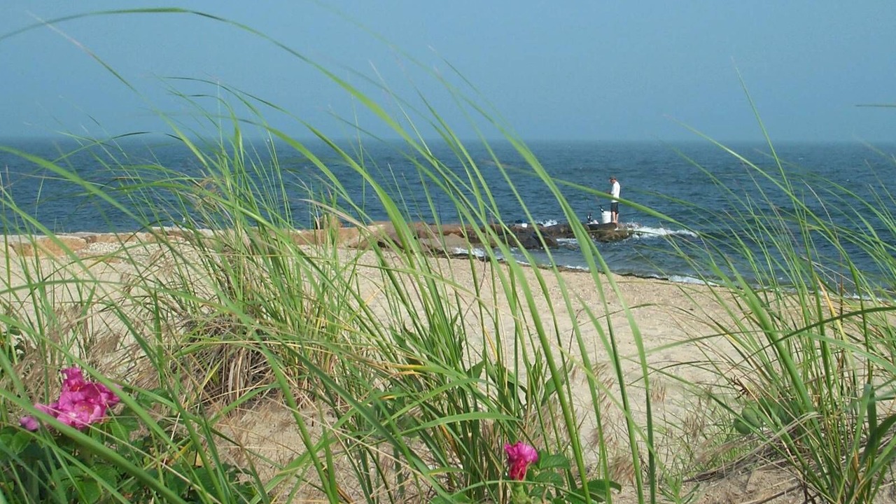 Photo of Others in East Falmouth