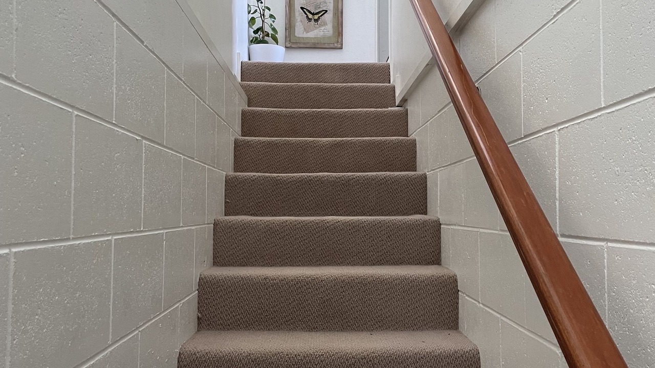 Photo of Others in Omokoroa