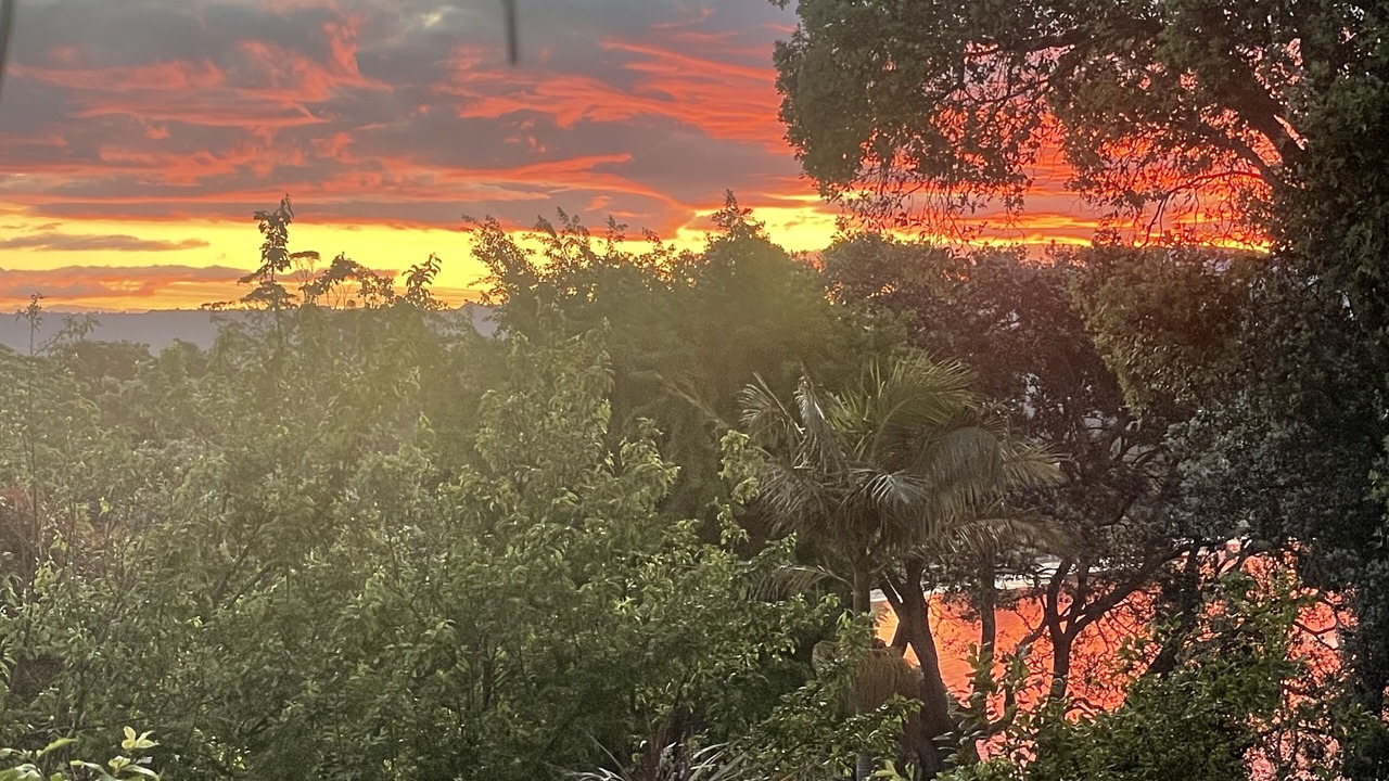 Photo of Outdoor in Omokoroa