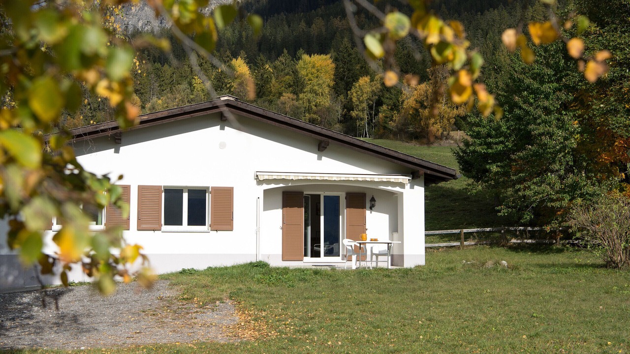 Photo of Others in Lenz