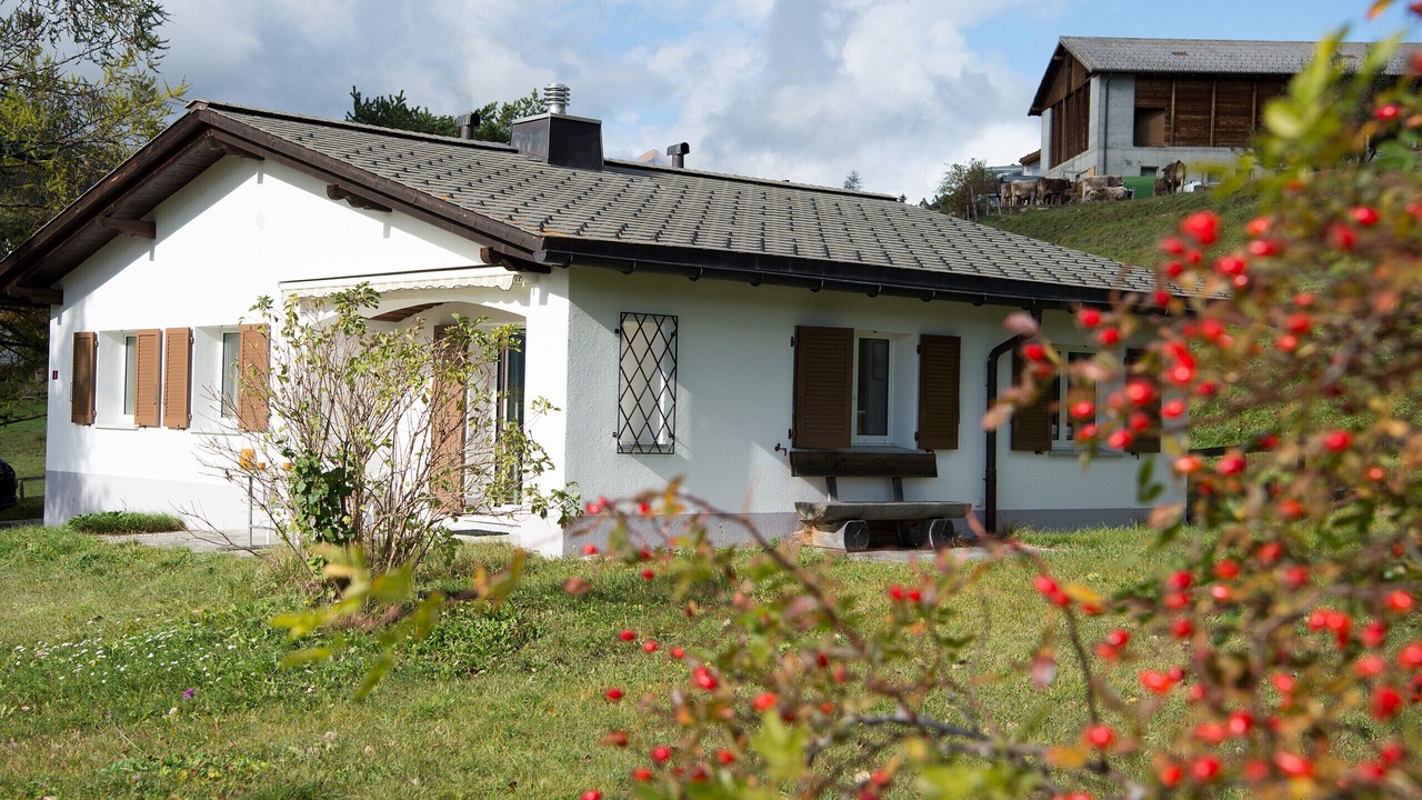 Photo of Others in Lenz