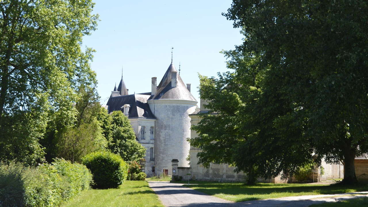 Photo of Outdoor in La Chapelle-Blanche-Saint-Martin