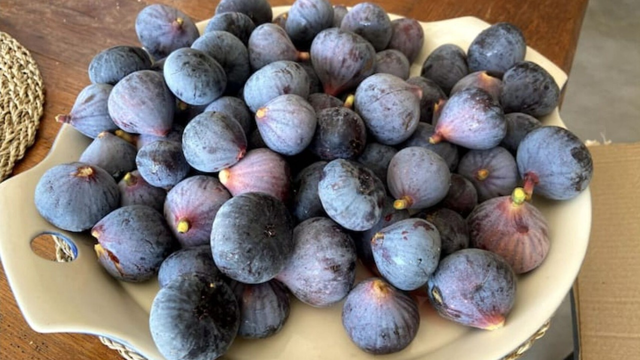 Photo of Others in Saint-Georges-d'Esperanche