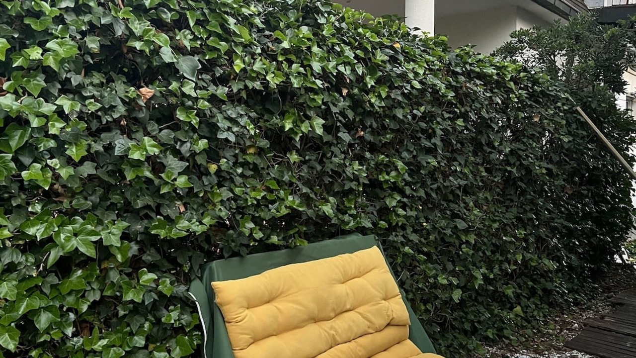 Photo of Outdoor in Matadepera
